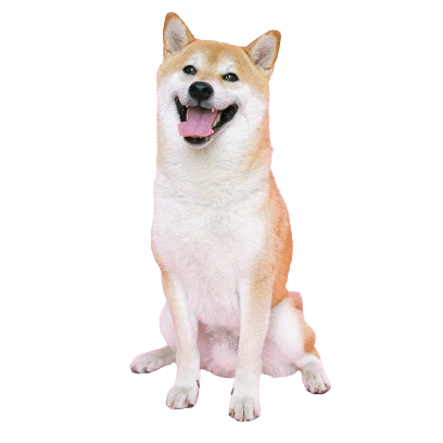 The good boy's secret